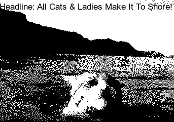Cat-Swims-Shore.gif