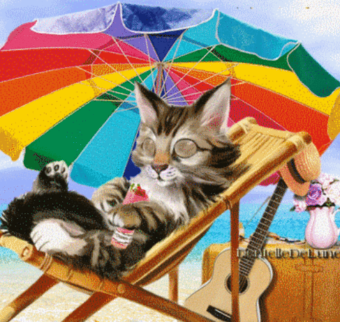 Cat_on_Beach.gif