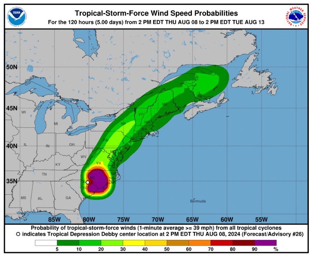 Debby.jpg