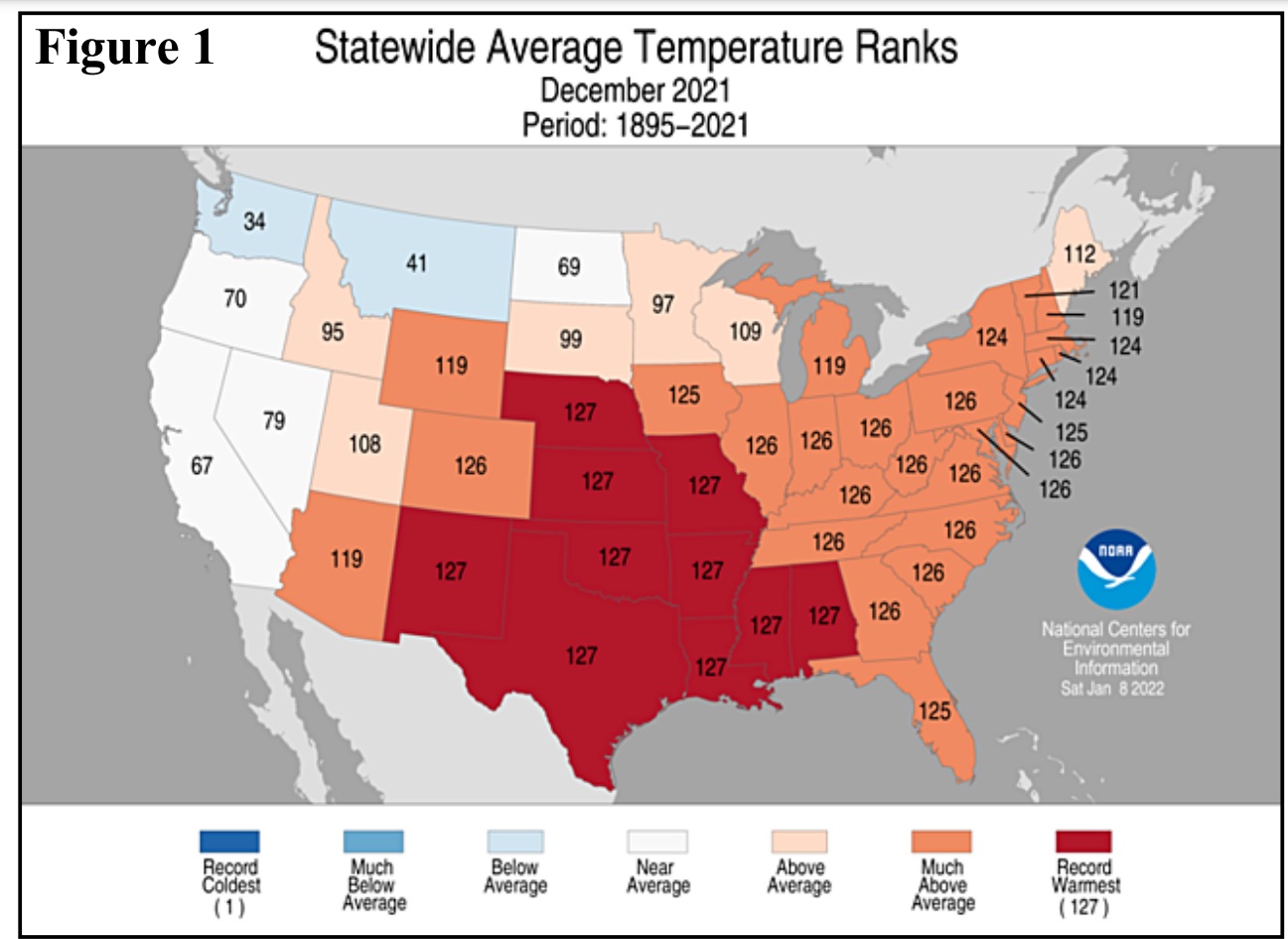 December 2021 Temperatures.jpg