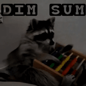 DIMsum (2).gif