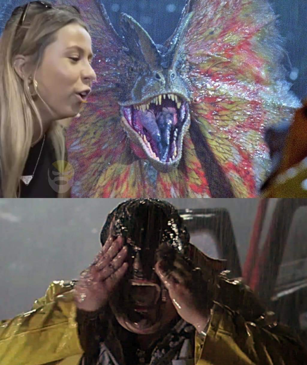 dino_tua.jpg