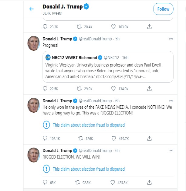 djt tweet sunday 11-15-2020.jpg