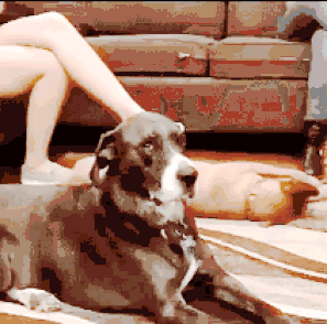 dog-roll-eyes-faints.gif