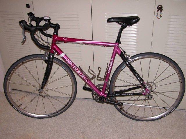 DSCN1433.jpg