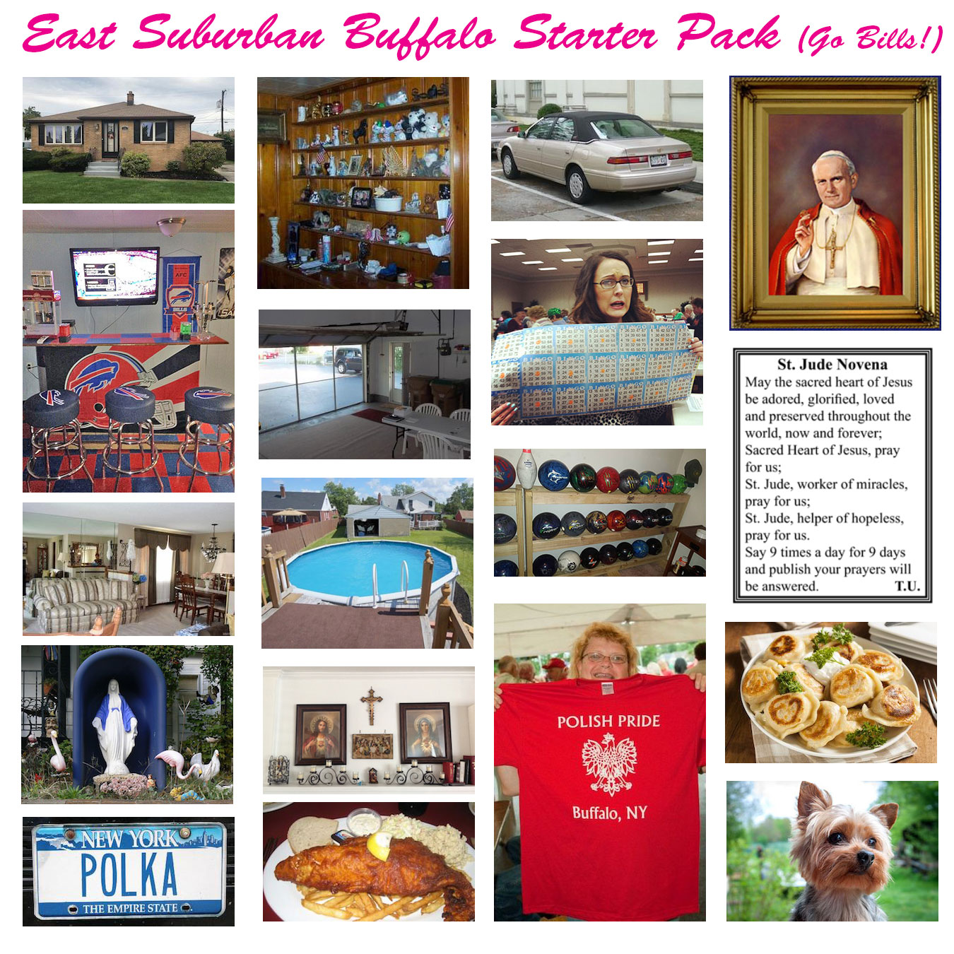 east_suburban_buffalo_starter_pack.jpg