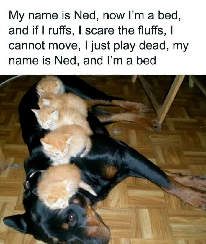 FB_IMG_1730838294215.jpg