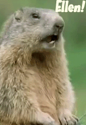 gopher.gif