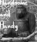 Handsome.gif