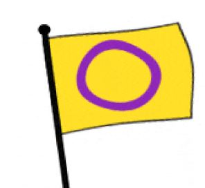 intersex-hermaphrodite-flag.gif