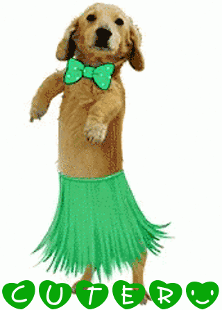 Irish_Dog.gif