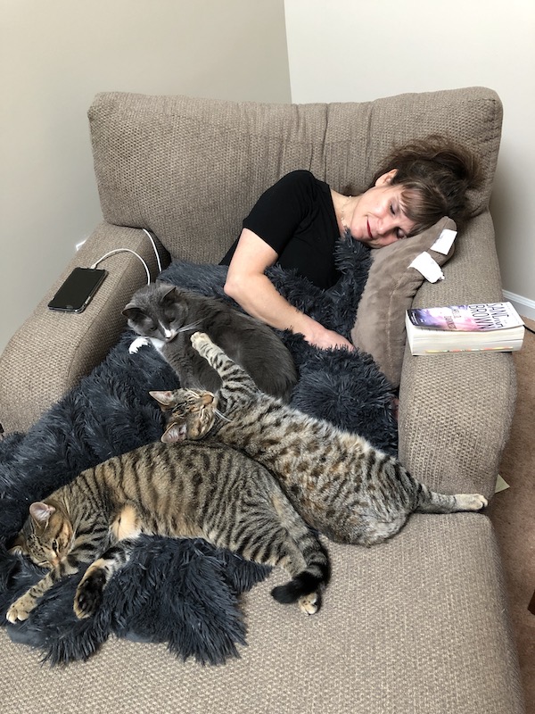 kitten_pile.jpg