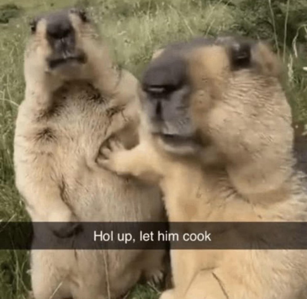let him cook.jpg