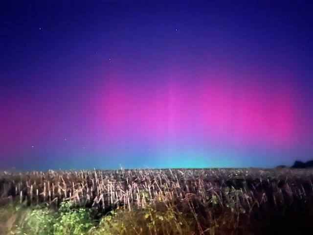 lights 1.jpg
