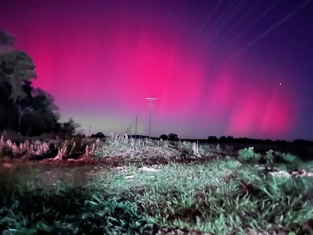 lights 2.jpg