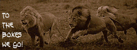 lions.gif
