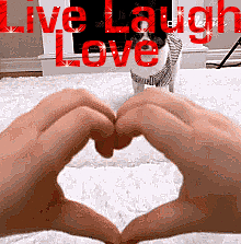 live_laugh_love.gif