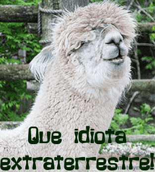 LLama.gif