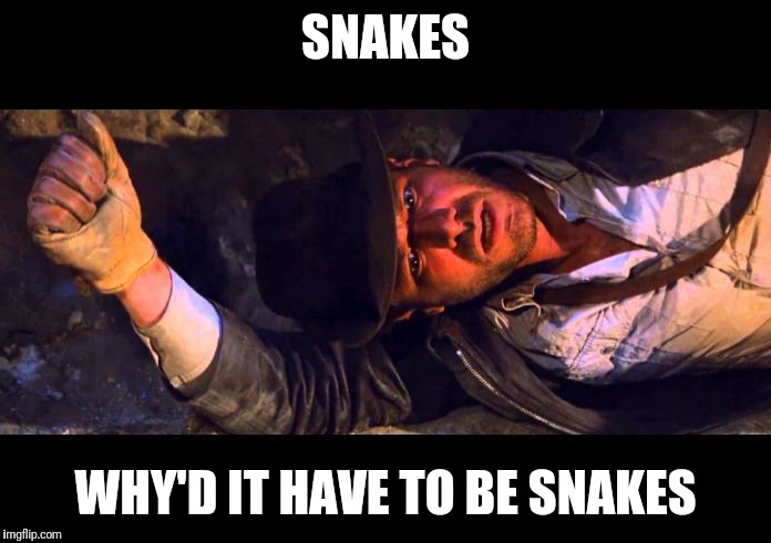 meme_IndyJones_why snakes.jpg