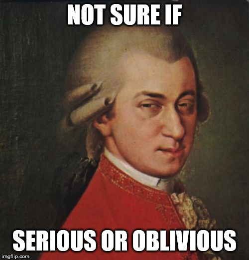 meme_Mozart not sure.jpg
