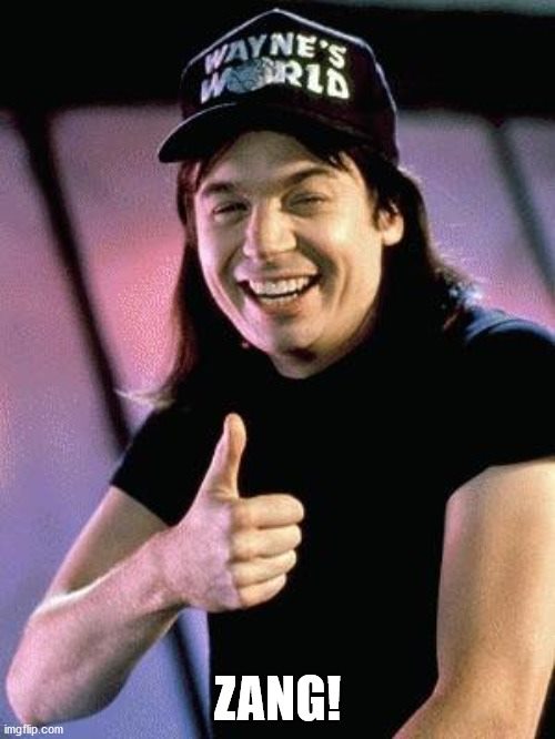 meme_Wayne-excellent-zang.jpg