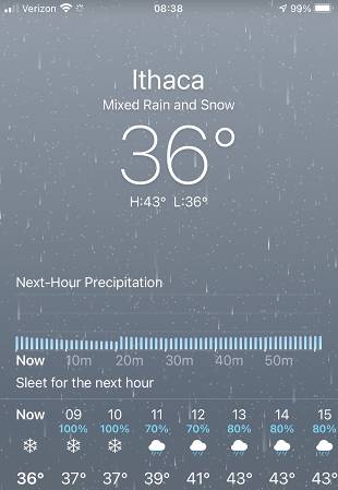 motherfucking snowing now.jpg