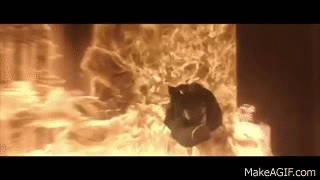 neo.gif