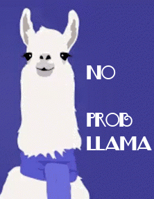 no_prob_llama.gif
