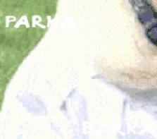 Parka_Barka.gif