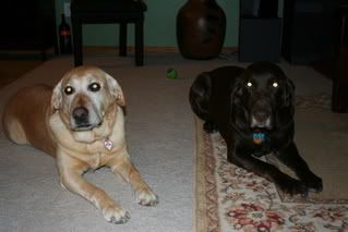 Picture003.jpg