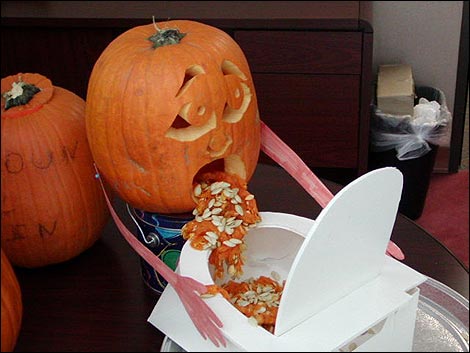 pumkin_beer4.jpg