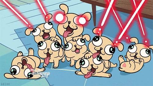 puppies_laser-eyes.gif