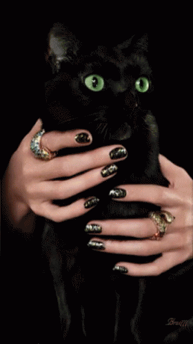 put-black-cat-under-spell.gif