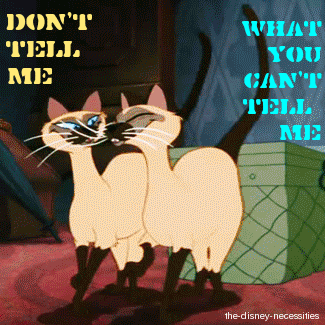 Siamese-personality.gif