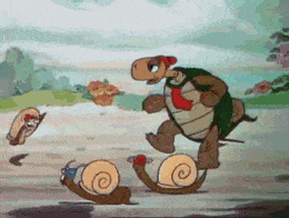 snails_beat_turtle.gif