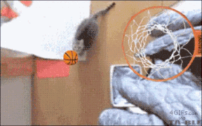 spacejam-slam.gif