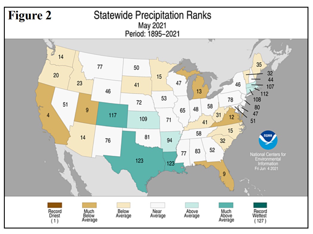 Statewide Precipitation Ranks 2021-05.jpg