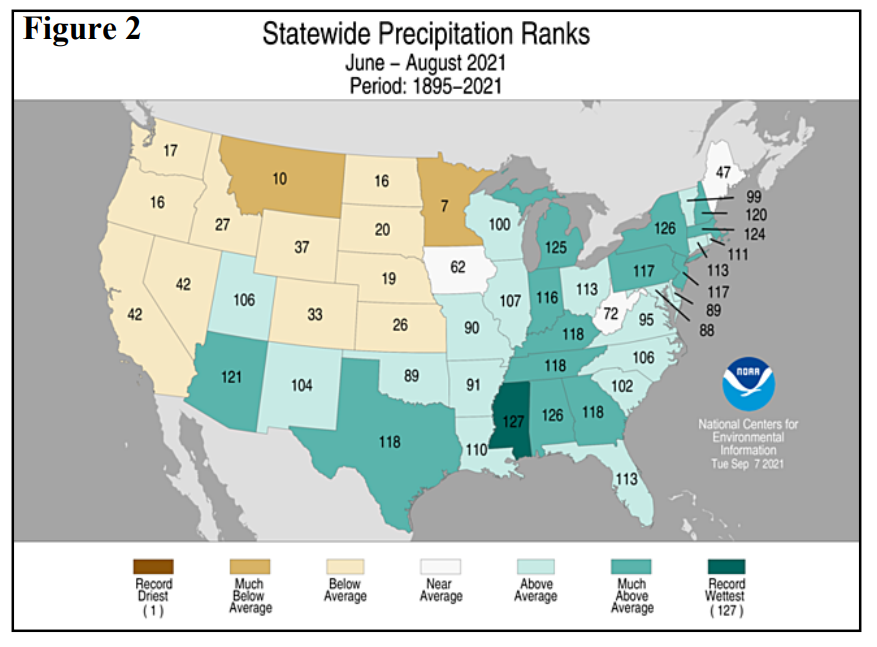 Statewide Precipitation Ranks 2021-Summer.png
