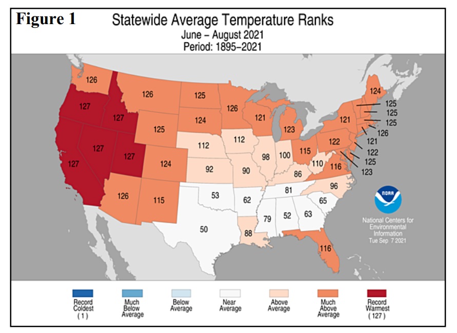 Statewide Temperature Ranks 2021-Summer.jpg