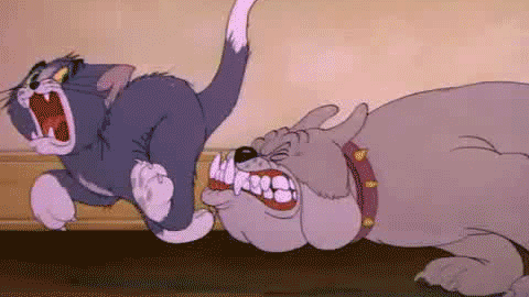 tom-and-jerry.gif