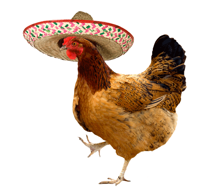 turkey-dances-mariachi.gif