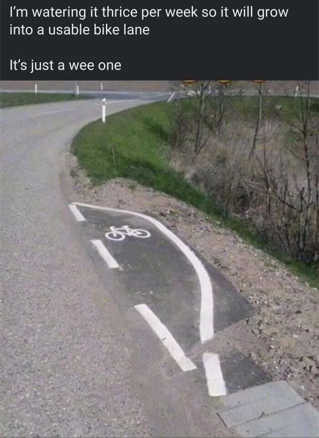 wee bike lane.jpg