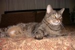 DSCF0047.jpg