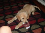 Molly Mae Aug-Sep 2007 001.jpg