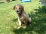 Molly Mae Aug-Sep 2007 011.jpg