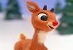 Rudolph.jpg
