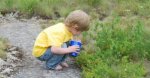 Gabriel picking blueberries.jpg