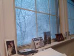 snow out my office window.jpg