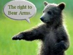 bear arms.jpg