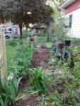 wall moving soil May 2016.jpg